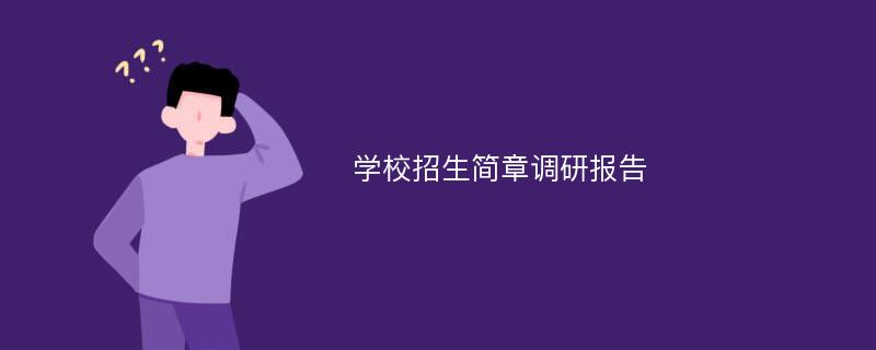 学校招生简章调研报告