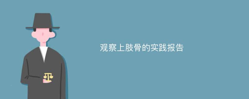 观察上肢骨的实践报告