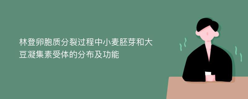 林登卵胞质分裂过程中小麦胚芽和大豆凝集素受体的分布及功能