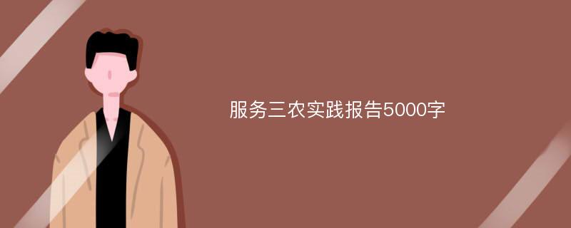 服务三农实践报告5000字