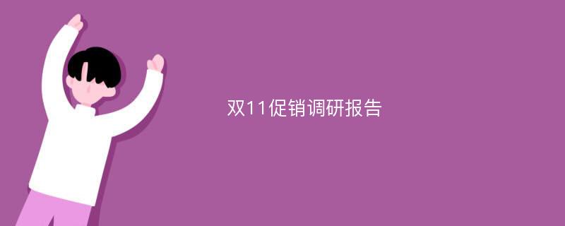 双11促销调研报告