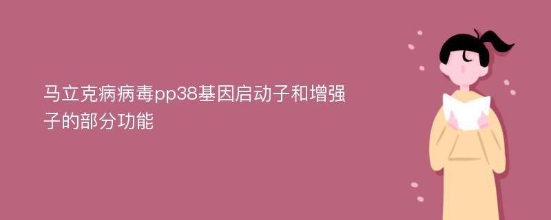 马立克病病毒pp38基因启动子和增强子的部分功能