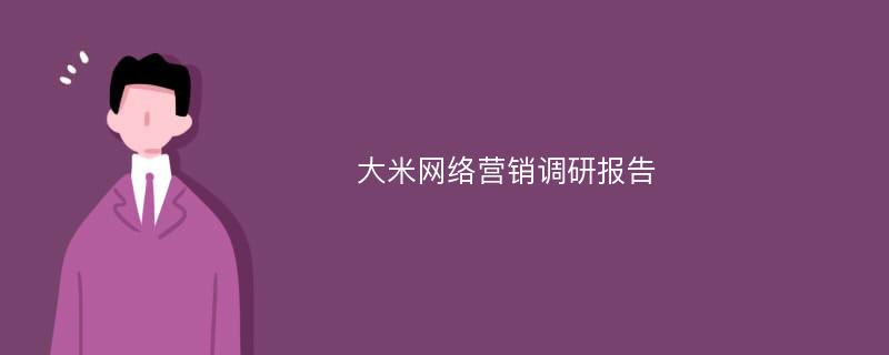 大米网络营销调研报告