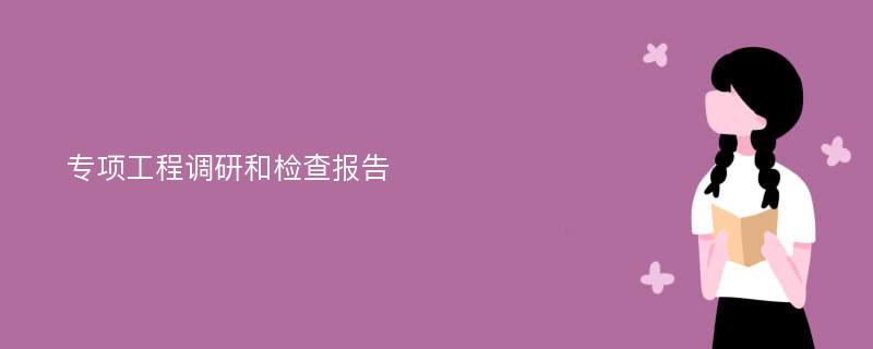 专项工程调研和检查报告