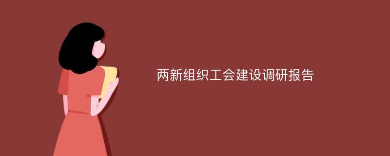 两新组织工会建设调研报告