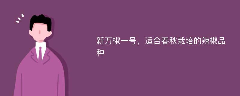 新万椒一号，适合春秋栽培的辣椒品种