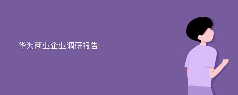 华为商业企业调研报告