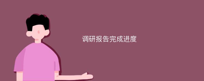 调研报告完成进度