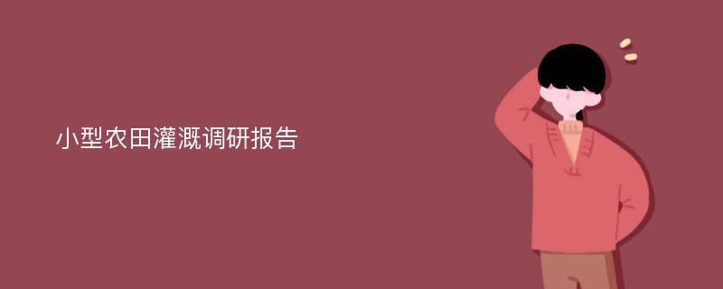 小型农田灌溉调研报告