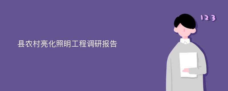 县农村亮化照明工程调研报告